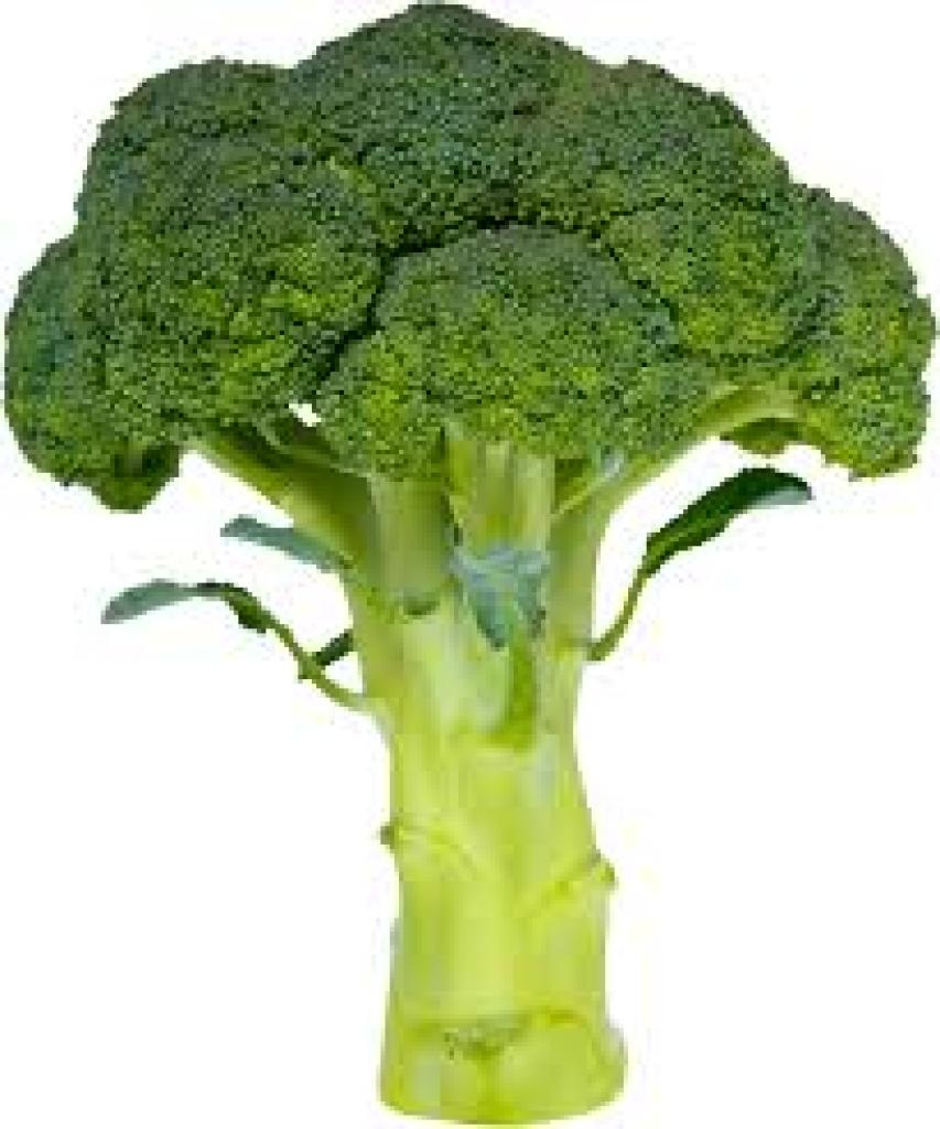 Organic - Broccoli