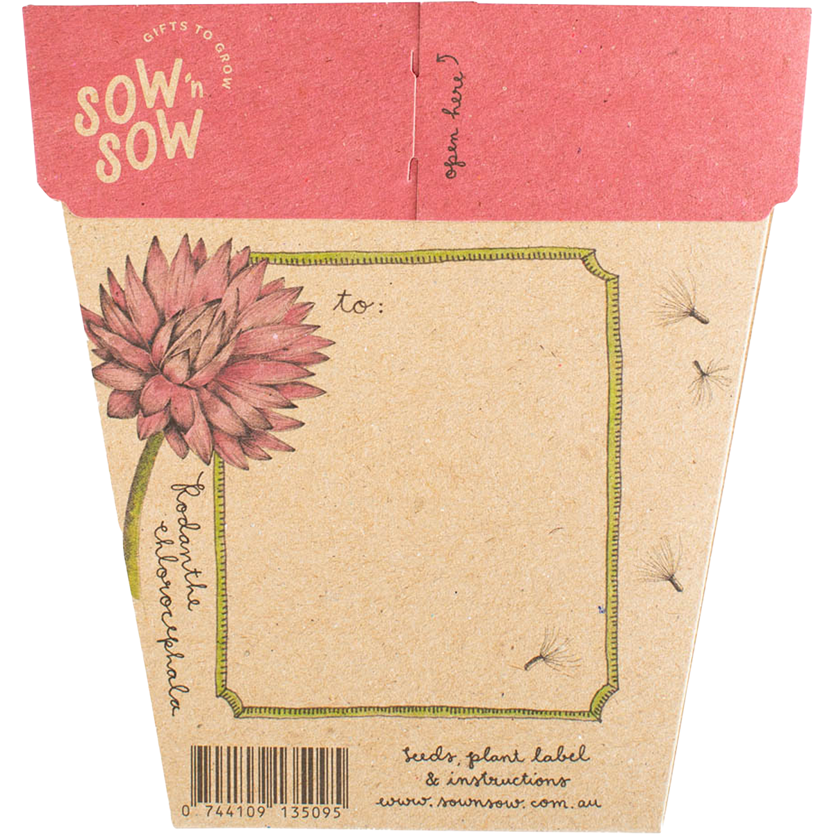 Sow 'n Sow - Gift of Seeds Everlasting Daisy