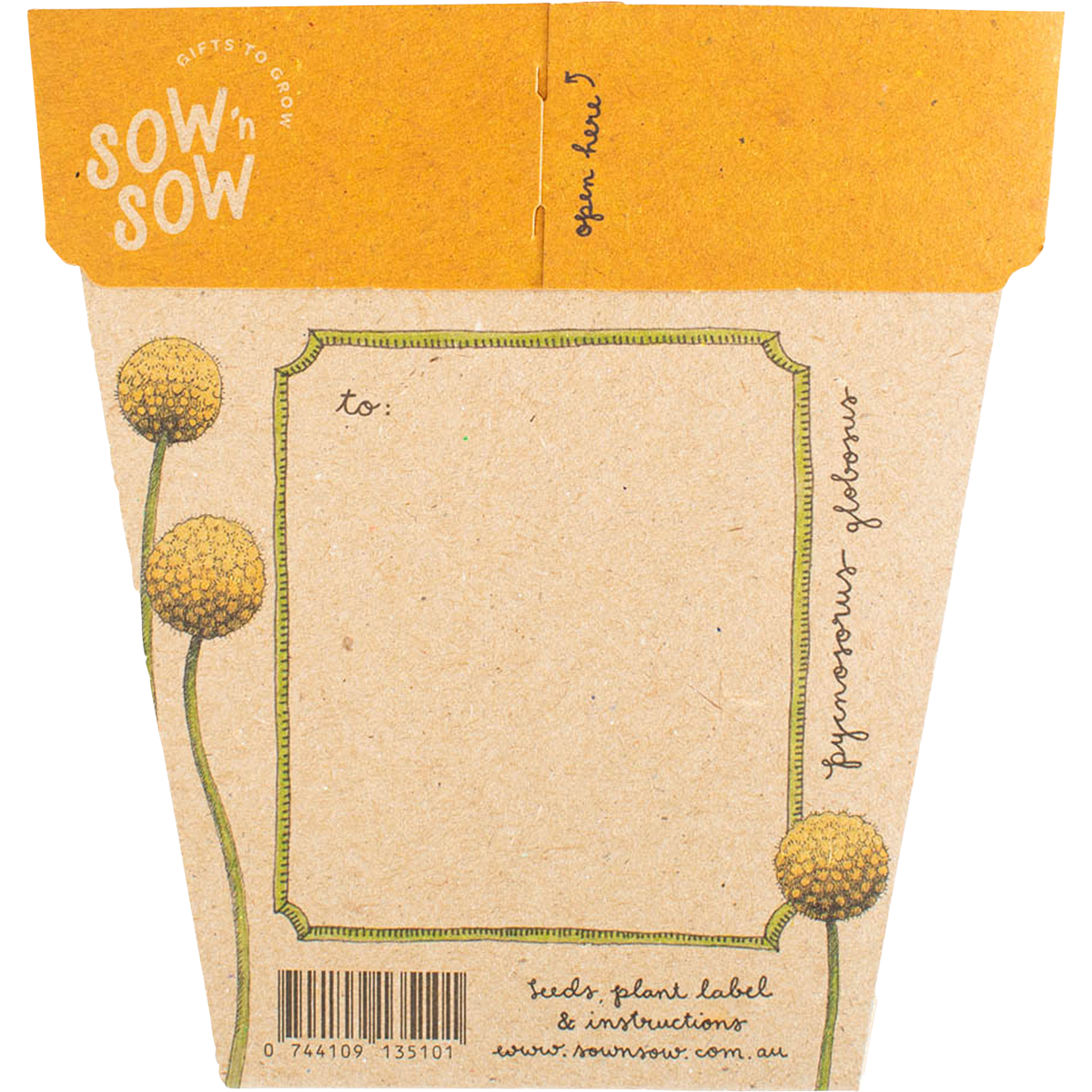 Sow 'n Sow - Gift of Seeds Billy Buttons