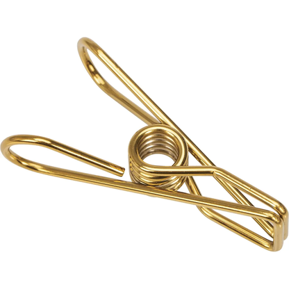 Ever Eco - Stainless Steel Clothes Pegs Premium Marine Grade Gold 40pk