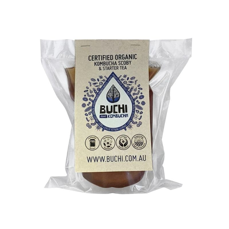 Buchi - Kombucha (Scoby Only) (Refrigerated)