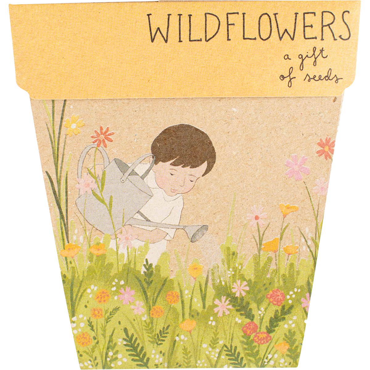 Sow 'n Sow - Gift of Seeds Wildflowers