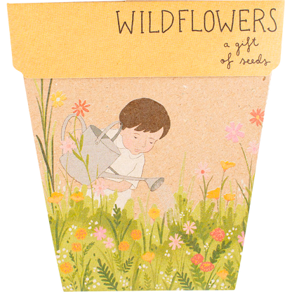 Sow 'n Sow - Gift of Seeds Wildflowers
