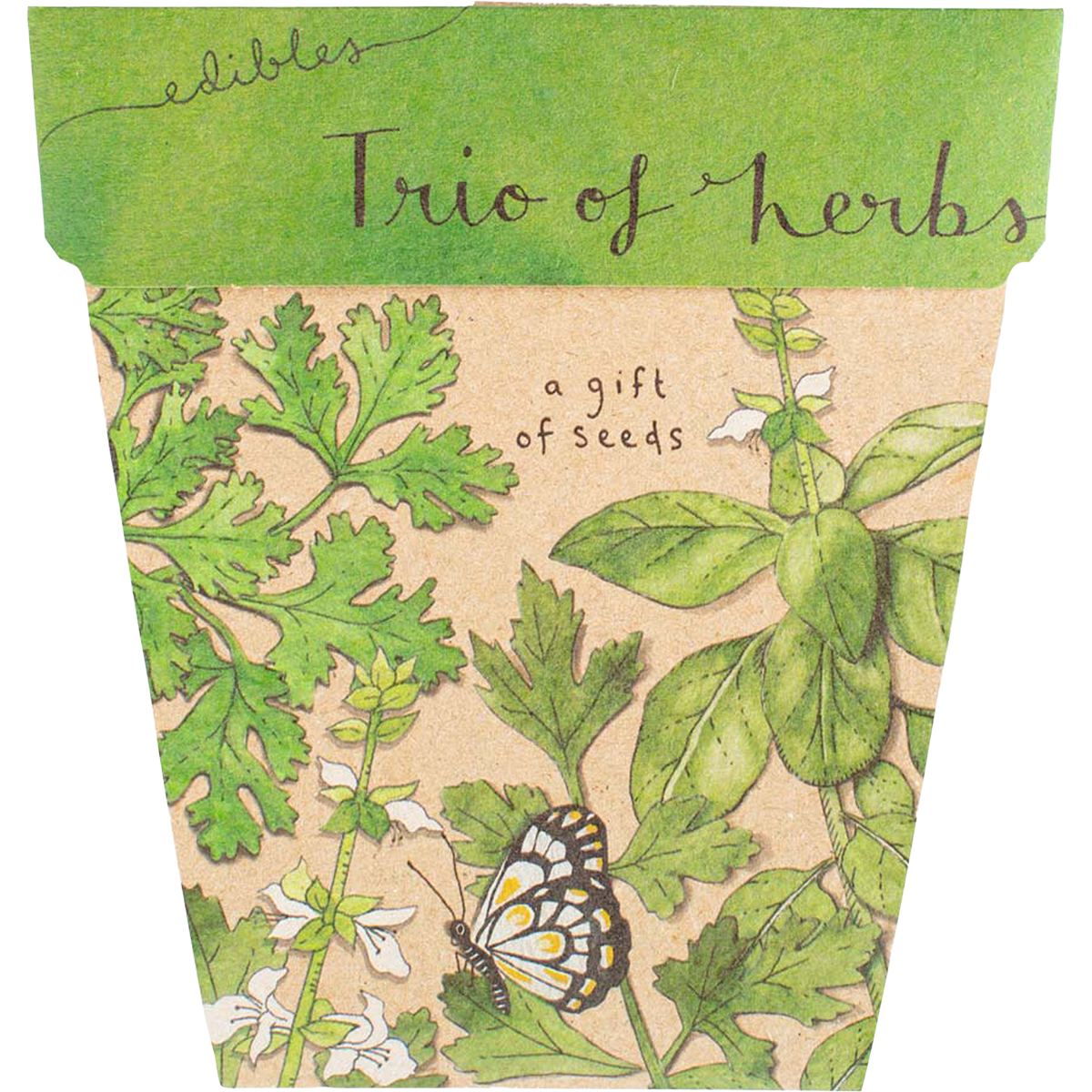Sow 'n Sow - Gift of Seeds Trio of Herbs