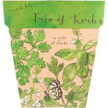 Sow 'n Sow - Gift of Seeds Trio of Herbs