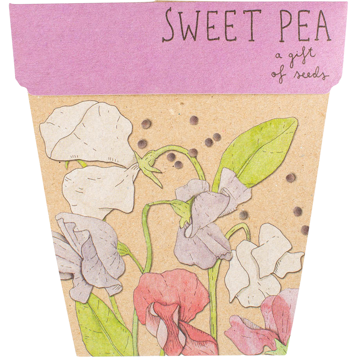 Sow 'n Sow - Gift of Seeds Sweet Pea