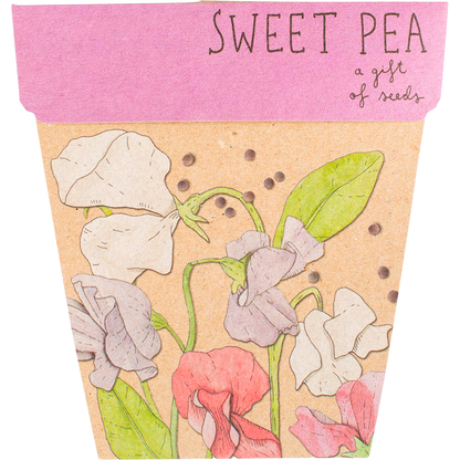 Sow 'n Sow - Gift of Seeds Sweet Pea