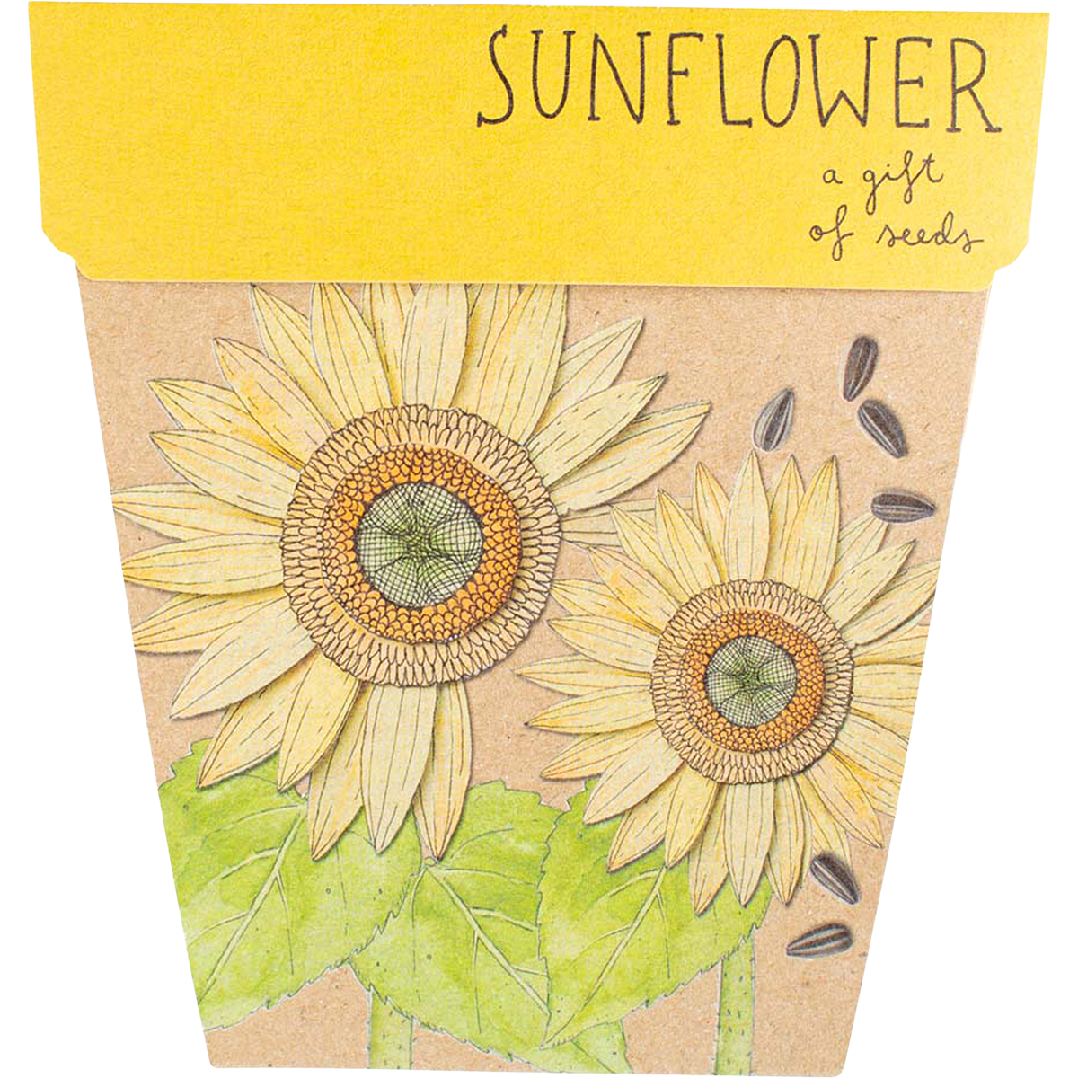 Sow n Sow - Gift of Seeds Sunflower