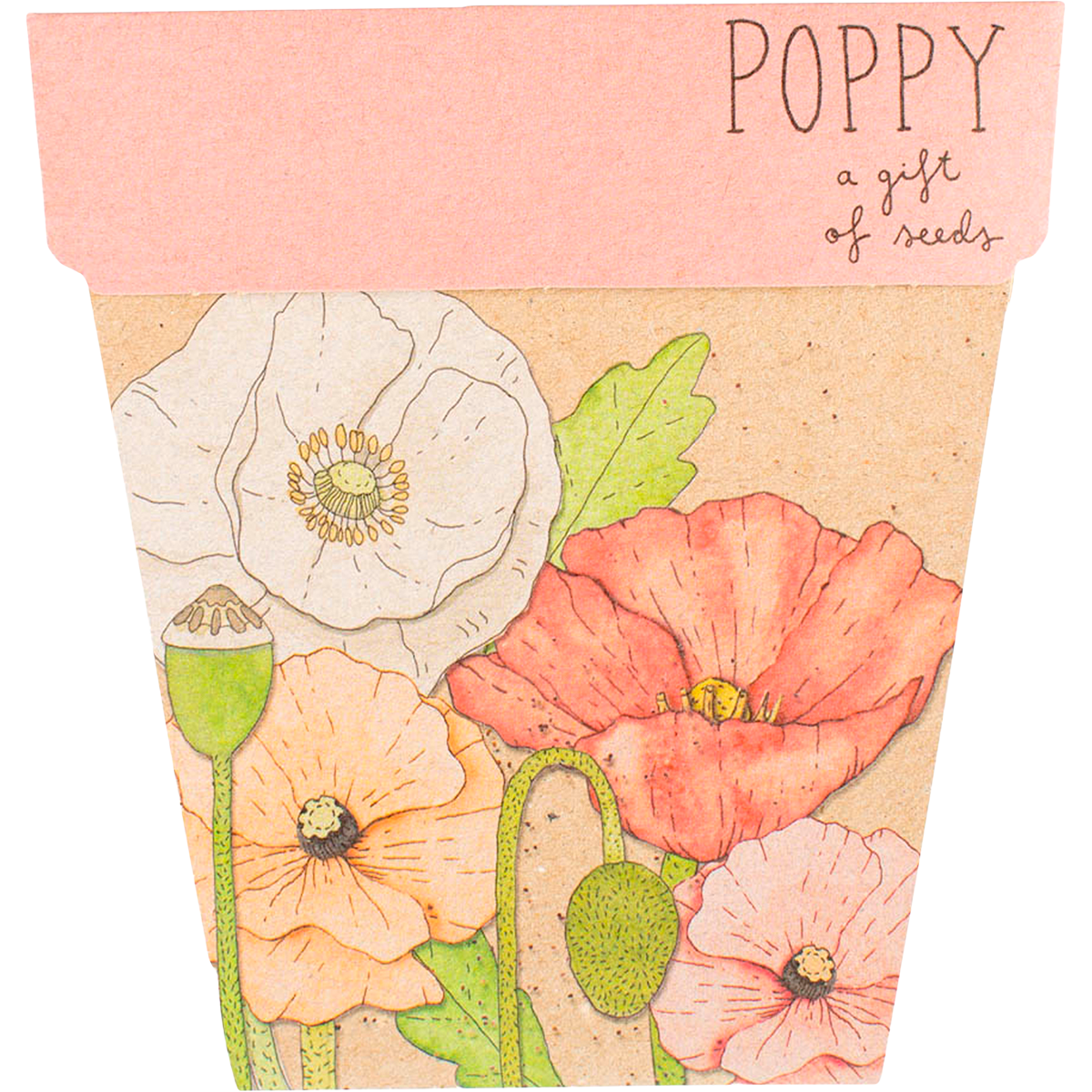 Sow n Sow - Gift of Seeds Poppy