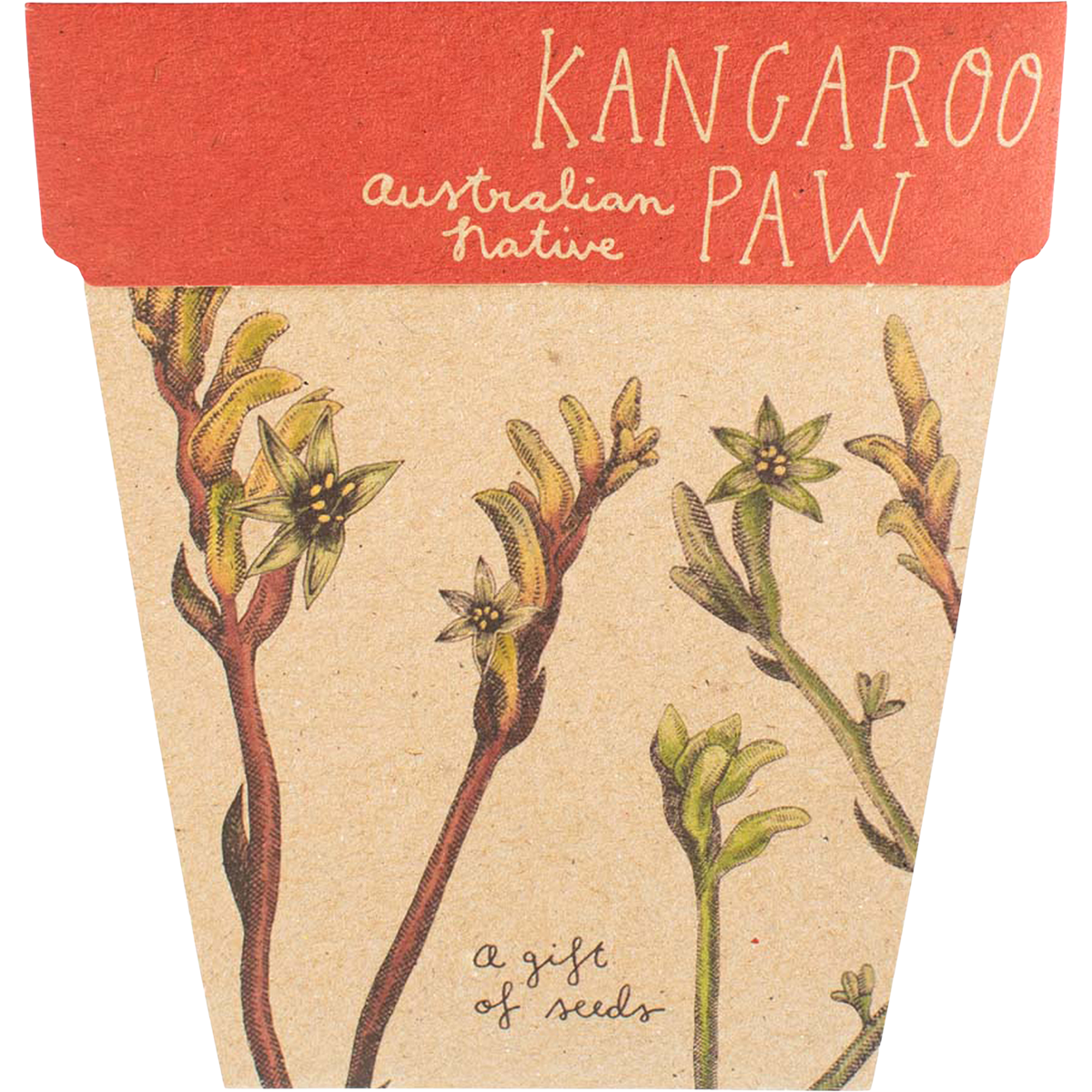 Sow 'n Sow - Gift of Seeds Kangaroo Paw