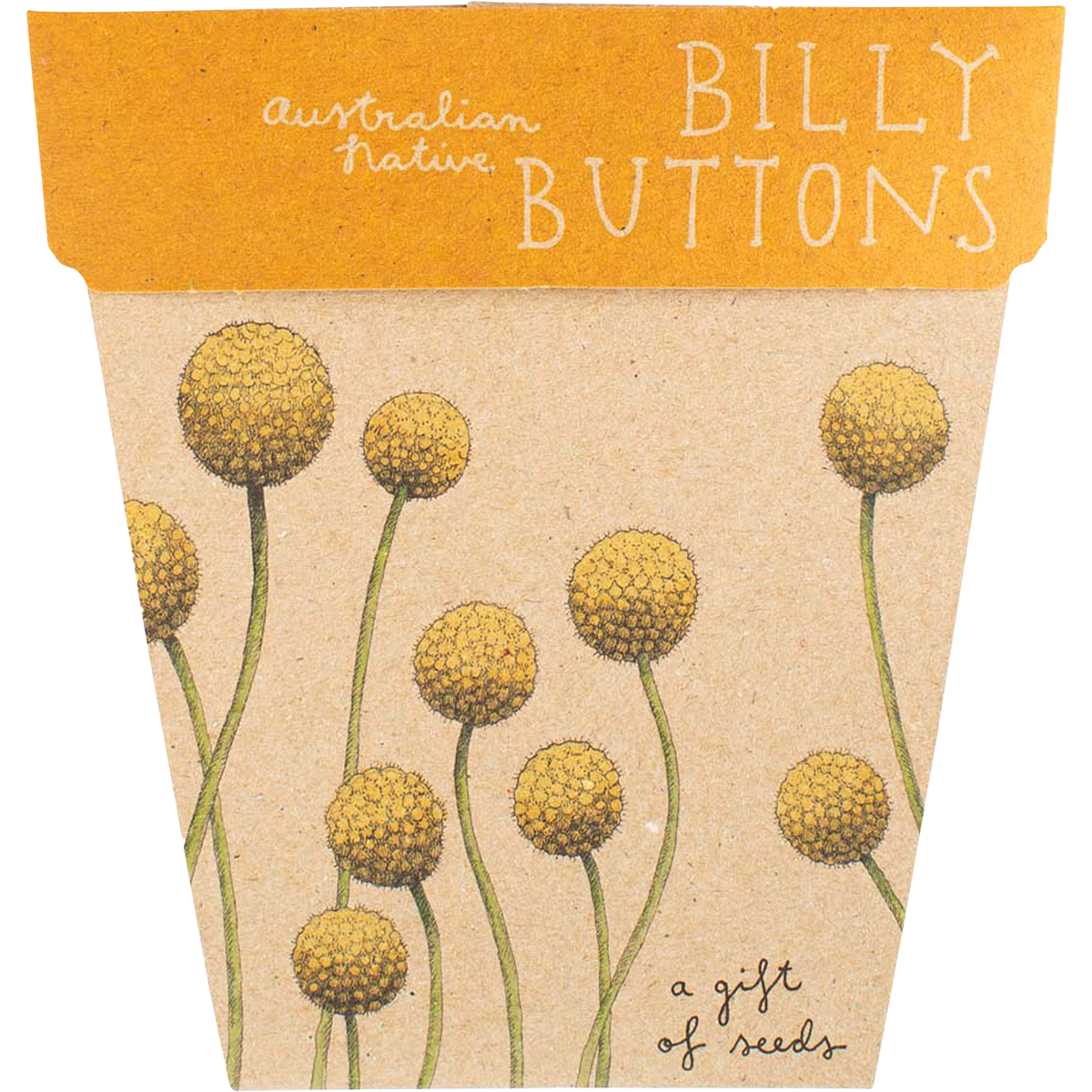 Sow 'n Sow - Gift of Seeds Billy Buttons