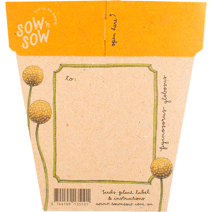 Sow 'n Sow - Gift of Seeds Billy Buttons