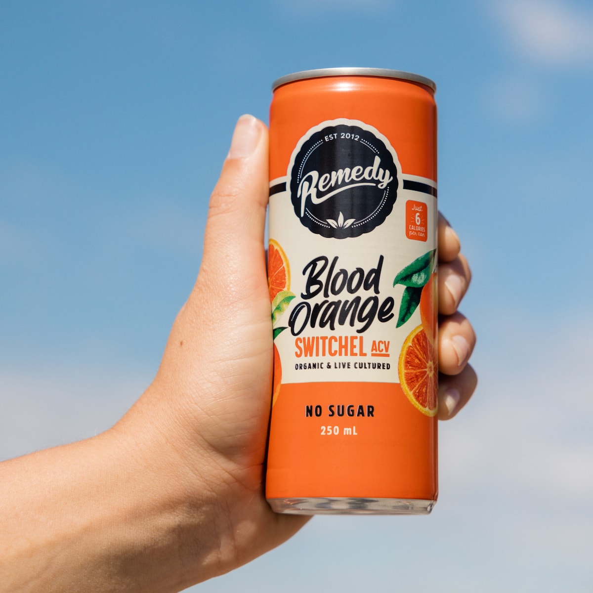 Remedy Kombucha - Switchel Blood Orange 4 x 250ml