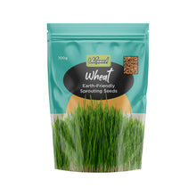 Untamed Health - Wheat Sprouting Seeds 100g
