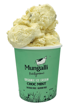 Mungalli - Mint Choc Chip Ice Cream 475ml