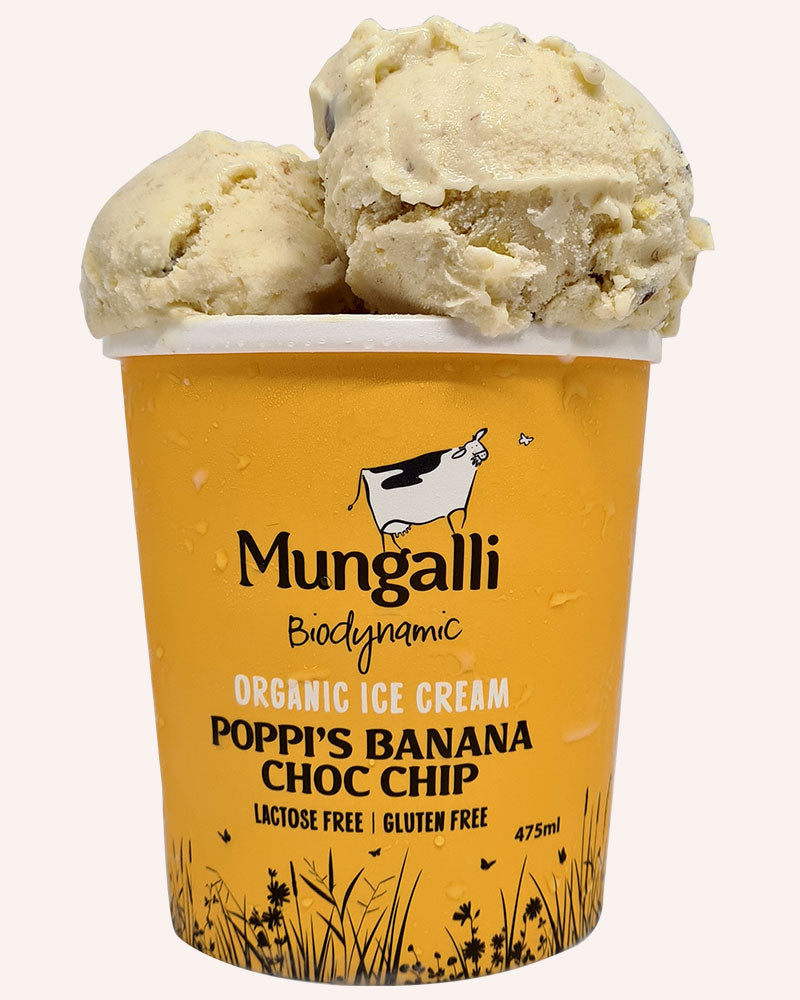 Mungalli - Poppi's Banana Choc Chip Ice Cream 475ml
