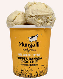 Mungalli - Poppi's Banana Choc Chip Ice Cream 475ml