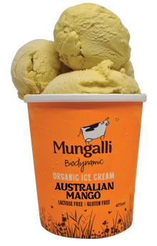 Mungalli - Mango Sherbet Ice Cream 475ml