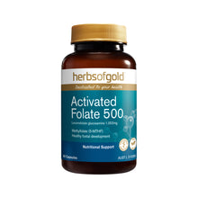 Herbs Of Gold - Activated Folate 500 60c