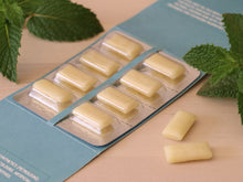 Mast Chew - Mint Chewing Gum - 16 Pieces