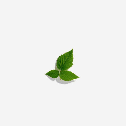 Love Tea - Raspberry Leaf 50g