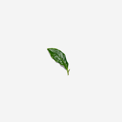 Love Tea - Hojicha 75g