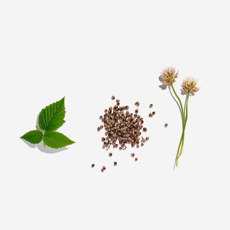 Love Tea - Fertility 75g